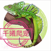 千曦精选爬宠