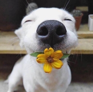 比心家居服饰专营店