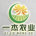 一杰农业甄选黄白菊花和菊花种苗