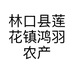林口县莲花镇鸿羽农产品商行的小店