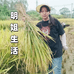 明姐清远特产店
