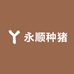 永顺大种猪厂