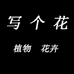 漳平市永福写个花花木场