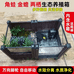 稻草人家居园艺