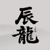 辰龙工作室