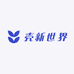 壳新世界