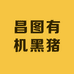 昌图有机黑猪