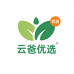 云爸优选