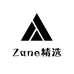 Zane精选店