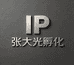张大光IP孵化
