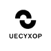 UECYXOP峰伟祥科技（深圳）有限公司数码专卖店