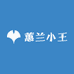 蕙兰小王