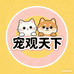 宠观天下