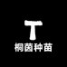 桐茵种苗