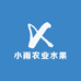 小雨农业水果
