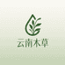 云南木草身体护理