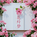 花绮梦三角梅