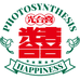 光合喜蚕丝被