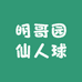 明哥园艺仙人球