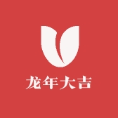 龙年大吉年货
