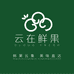 云在鲜果甄选