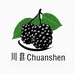 川甚Chuanshen凉山桑葚干