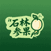 云南石林人参果甄选