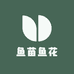 广东老渔夫鱼苗
