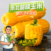 冰城浩哥黑蒙商贸