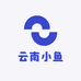 云南小鱼观赏鱼