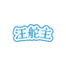 汪舵主