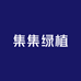 集集绿植