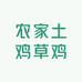 农家土鸡草鸡