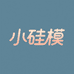 小硅模