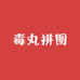 毒丸拼图