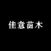佳意苗木
