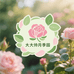 大帅月季园