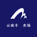 云南丰璟农场特色蔬菜