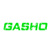 GASHO光硕存储