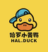 哈罗小黄鸭HAL.DUCK炯同运动鞋专卖店