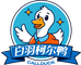 淮安白羽宠物店