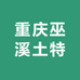 重庆巫溪土特
