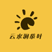 云水涧茶叶