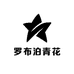 新疆罗布泊青花