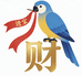 鹦羽精品手养鹦鹉