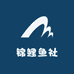 锦鲤鱼社