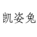 凯姿兔莆田市城厢区安昱商贸有限公司男装专卖店