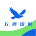 飞鹰国际