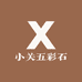 小关园园金丝玉