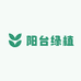 阳台绿植花卉